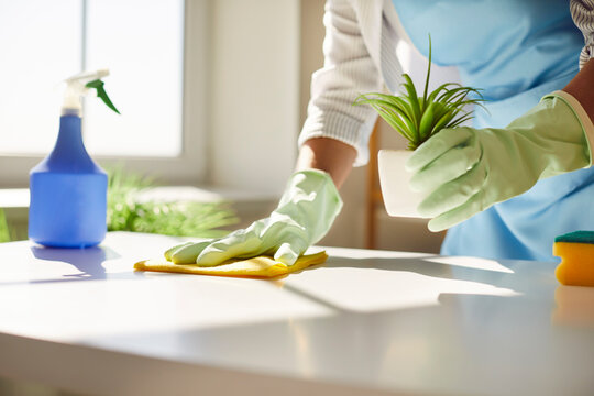 Professional cleaning spray bottle and glove — Thamer Al-Enezi Cleaning Services